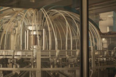 Cam şişe şampanya, bira veya şarap fabrikası'nda otomatik konveyör satırındaki. Alkollü içecekler şişeleme tesisi