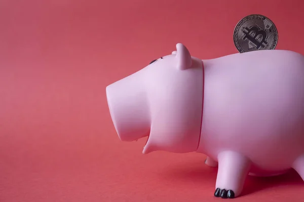 貯金箱 Bitcoin コイン新しい仮想のお金で明るい赤の背景 — ストック写真