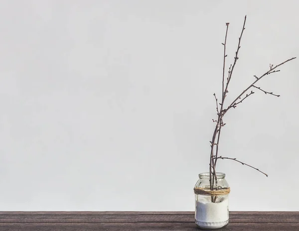 Ramas Frasco Vidrio Próxima Primavera Tarro Vidrio Sobre Escritorio Madera — Foto de stock gratis