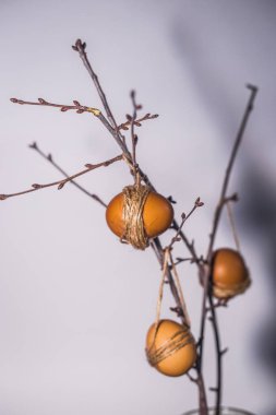 Paskalya kavramı. Bahar zamanı. Yumurta dallarında asılı
