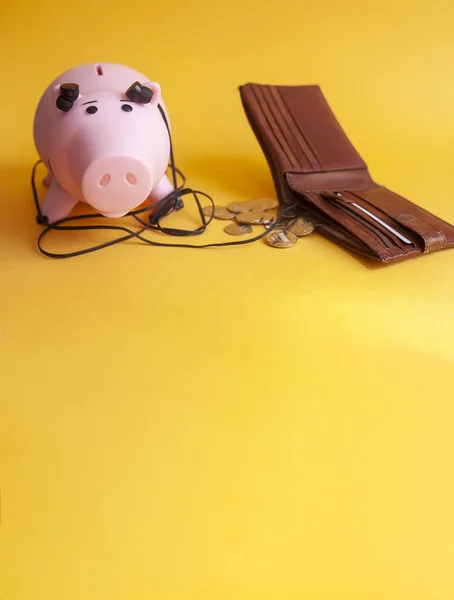 Prasátka poslechu peněženka — Stock fotografie