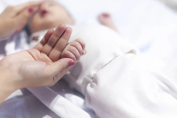 Newborn baby boy hands — Stock Photo, Image