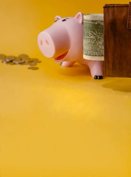 Geld finanziert Sparkonzept. Sparschwein — Stockfoto