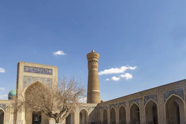 Bujará, Uzbekistán - 13 de marzo de 2019: La Mezquita Kalyan. Una de las mezquitas más antiguas y grandes de Asia Central. Mezquita principal de la catedral de Bujará — Foto de Stock