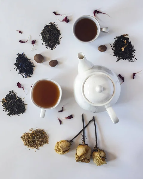 Set de té con maceta de té de cerámica blanca, flores de rosas secas y otros ingredientes del té en el blanco. Vista plana de varios tés secos y tetera. Vista desde arriba. Espacio para tu texto — Foto de stock gratis