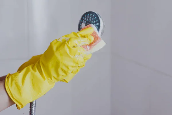 Woman in rubber gloves cleaning the shower head. Housemaid washing metallic head of the shower. Housewife cleaning up in the bathroom