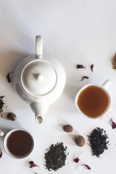 Čaj je vybaven bílým keramickým čajovým hrnku, sušenými růžemi a dalšími čajové přísady na bílém. Plochý pohled na různé sušené čaje a čajník. Pohled shora. Místo pro text — Stock fotografie zdarma