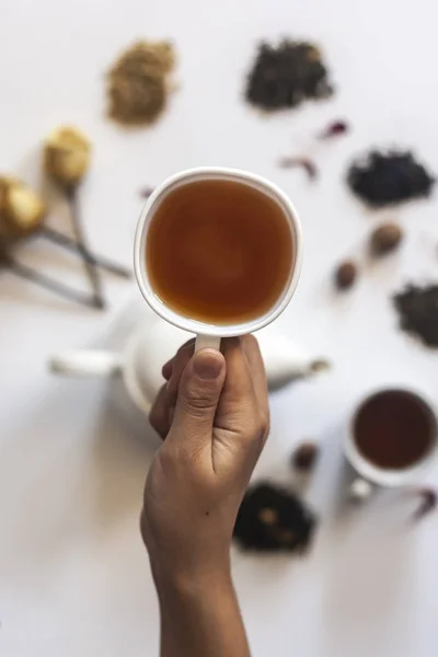 Kézben tartó teáscsésze. Nő kezében egy csésze teát teáskanna, szárított Rózsa virágok és egyéb tea összetevők a háttérben. — Stock Fotó