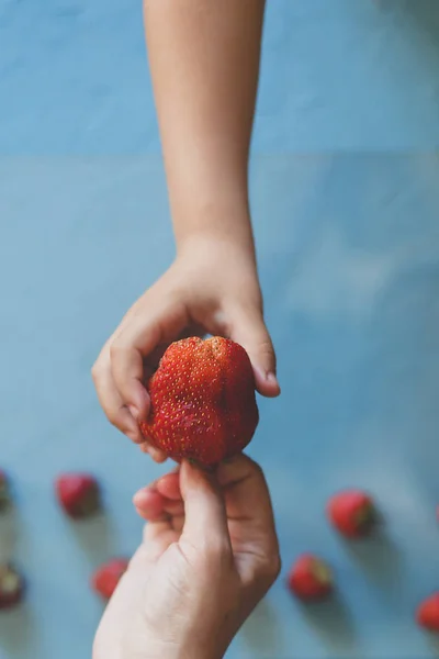 Ibu memberi anaknya strawberry merah besar. Anak kecil mengambil stroberi dari tangan ibu. Stroberi kecil dengan latar belakang biru cerah — Stok Foto