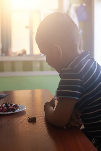 Un niño comiendo fresas. Comida de verano. Un niño pequeño come una deliciosa fresa en un caluroso día de verano. — Foto de Stock