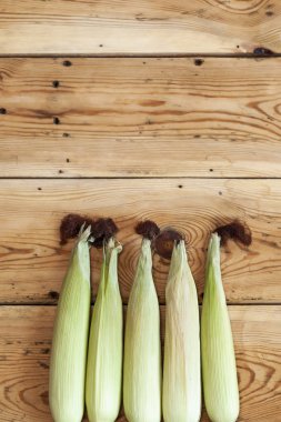 Ahşap arka planda taze ham Mısır koçanı. Deri ile çiğ Mısır