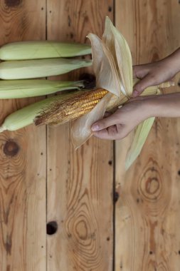 Genç kadın temizlik taze ahşap arka planda koçanı ham Mısır aldı. Shucking Mısır süreci
