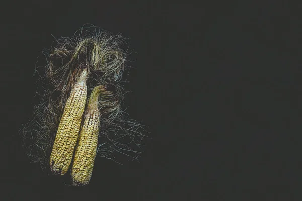 Sweet corns on black — Stok Foto