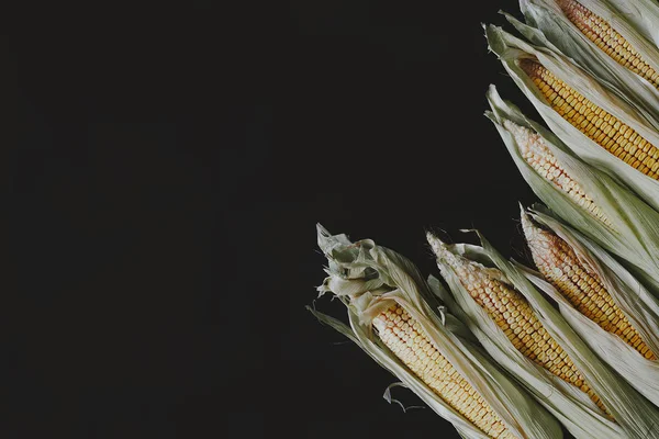 Jagung di atas tongkol hitam — Stok Foto