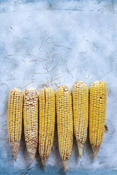 Sweet corns on bright background — Stock Photo, Image