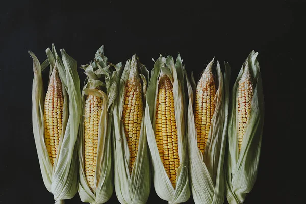Corns op de kolf op zwart — Gratis stockfoto