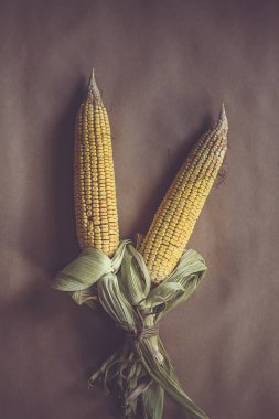 Zanaat kağıt üzerinde Mısır buketi