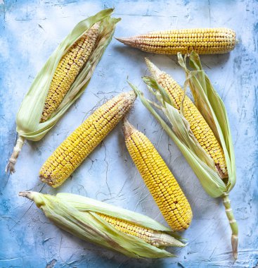 Parlak arka planda COB üzerinde corns