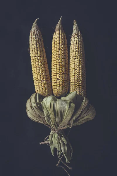 Buket jagung di hitam — Stok Foto