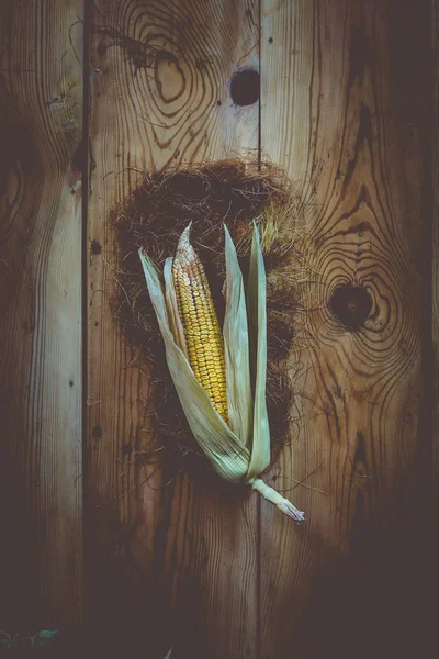 Свежий сырой кукурузный початок на деревянном фоне. Сырая кукуруза с кожей — стоковое фото