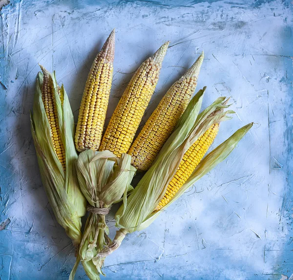 Kukuřičná kytice na jasném pozadí — Stock fotografie