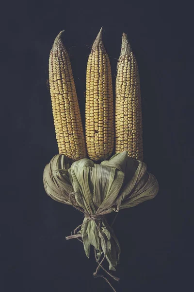Kukuřičná kytice na černém — Stock fotografie zdarma