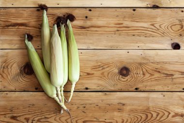 Ahşap arka planda taze ham Mısır koçanı. Deri ile çiğ Mısır