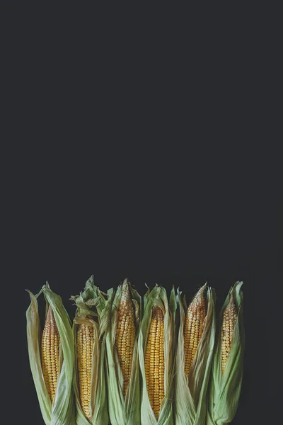 Corns na COB na černém — Stock fotografie zdarma