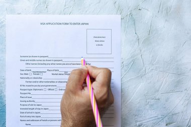 El dolum Japonya vize başvuru formu