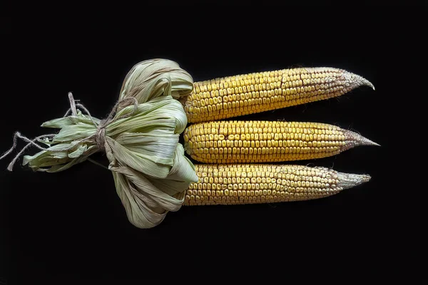 Buket jagung di hitam — Stok Foto