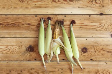 Ahşap arka planda taze ham Mısır koçanı. Deri ile çiğ Mısır