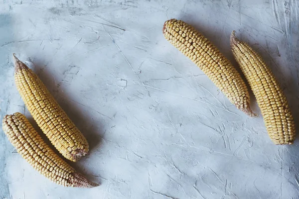 Latar belakang jagung manis dengan ruang fotokopi untuk teks — Foto Stok Gratis