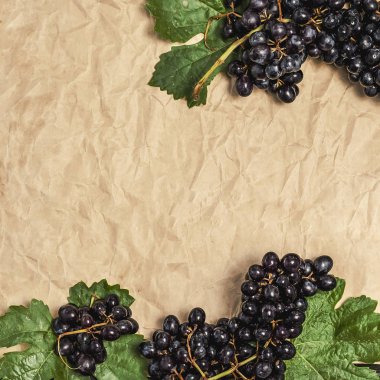 Taze topüzüm. Taze üzüm demeti