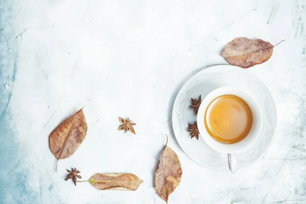 A cup of hot tea with fall leaves and copy space — Stock Photo, Image