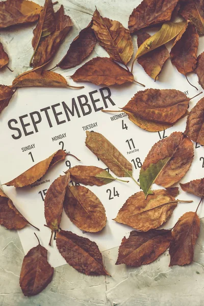 Monthly September 2019 calendar — Stock Photo, Image