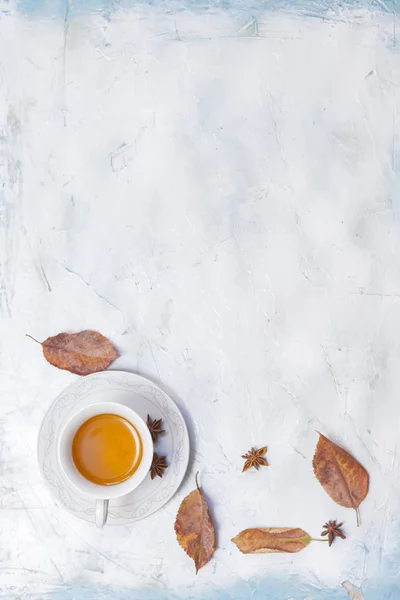 Uma xícara de chá quente com folhas de outono e espaço de cópia — Fotografia de Stock