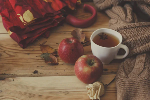 Cold autumn days. Autumnal mood — Stock Photo, Image