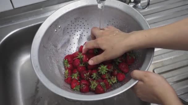 Lavare le fragole fresche crude — Video Stock