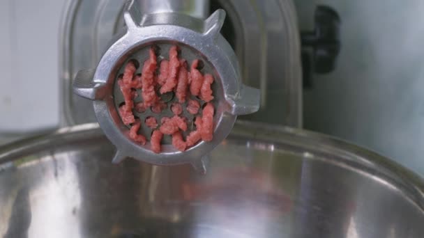 Elektrický mlýnek na maso — Stock video