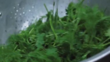 Sağlıklı salata yapmadan önce organik maydanozu süzgeçle yıkayan kadın.