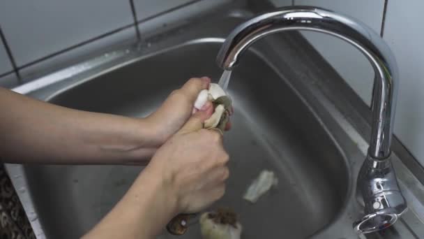 Женщина моет чеснок под проточной водой — стоковое видео