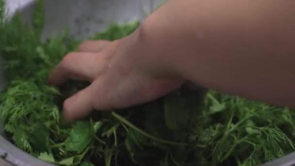 Woman washing organic parsley in colander before preparing healthy salad — Stock Video