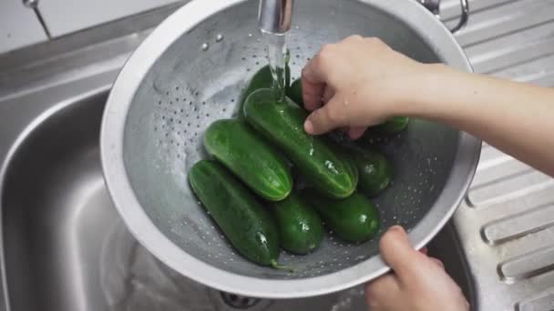 Yeni toplanmış organik salatalıkları süzgeçle yıkayan bir kadın. — Stok video