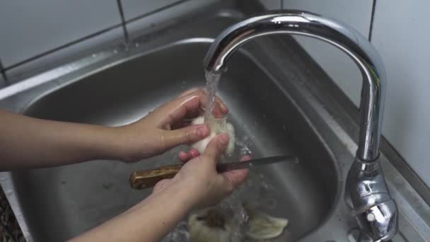 Femme laver l'ail sous l'eau courante — Video