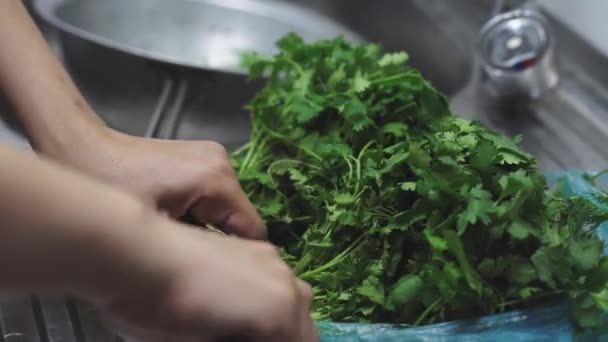Vrouw wassen biologische peterselie in vergiet voor het bereiden van gezonde salade — Stockvideo