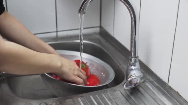 Женщина стирает свежесобранные органические помидоры в дуршлаге — стоковое видео