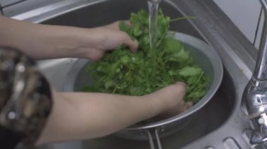 Sağlıklı salata yapmadan önce organik maydanozu süzgeçle yıkayan kadın.