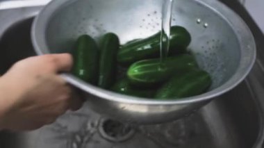 Yeni toplanmış organik salatalıkları süzgeçle yıkayan bir kadın.