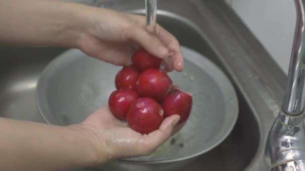 Yeni toplanmış organik turpu süzgeçle yıkayan kadın. — Stok video