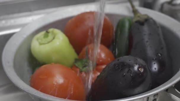 Woman washing freshly picked organic vegetables in colander — Stock Video